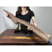 阿一藝品 頂級越南芽莊沉香木擺件【沉香柱】高品質 油脂豐富 甘甜韻味 沉穩醇香 靜心寧神 修身養性 供佛香品 B32