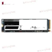 .金士頓 KC2500 500G 1T 2TB NVME M.2固態硬盤SSD 250G 臺式機`議價