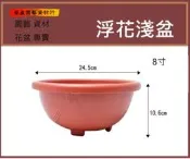 淺盆/浮花淺盆/8寸/塑膠盆/圓盆/種植/園藝資材/栽培蓮花/荃盈園藝資材行