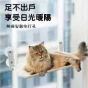 台灣現貨 窗邊貓吊床 吸盤掛式貓吊床 折疊懸掛貓床 強力防滑耐用 貓咪休息床 貓跳台 貓用品 貓咪玩具 吸盤貓吊床