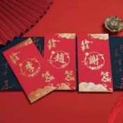 【臺灣出貨🔥】2026馬年高檔姓氏紅包百家姓春節新年利是封過年燙金紅包生産廠家50個一包批發