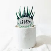 【客製化禮物】個性花插