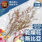 (店+)【織心手作】永生卡斯比亞 永生花 乾燥花 不凋花永生花 手作花浮游花 永生花材 捧花攝影道具 永生 室內裝飾