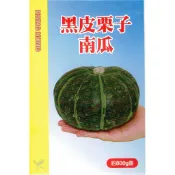 愛上種子 黑皮栗子南瓜 【蔬果種子】興農牌 每包約6粒