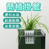 綠植掛籃 水草杯盆 草缸造景盆 水草掛籃定植杯
