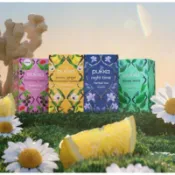 🎀【英國 Pukka茶包】獨立茶包20入盒裝 x現貨｜✈️英國空運Pukka｜洋甘菊、薄荷茶、舒眠、消化、玫瑰、肉桂