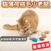 【現貨】小老鼠逗貓玩具 貓咪玩具 貓薄荷玩具 逗貓玩具 貓玩具