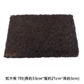 蛇木板 - 7吋(長約33cm*寬約21cm*高約3cm)