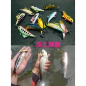 溪釣必殺餌 石斑根魚好用 顫泳VIB假餌路亞lure馬口魚溪哥湯匙亮片拖拉機波趴浮水鉛筆沉水米諾軟蟲曲柄鉤電鍍鐵板神人越