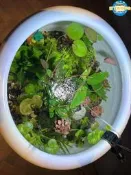 【可開發票】古法缸水族支架燈座led植物燈魚缸燈瓦缸水缸花盆陶缸爆藻燈夾子