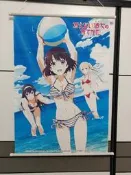 【日版現貨 路人女主的養成方法 泳裝掛畫】品牌：KADOKAWA作品：路人女主的養成方法角色：加藤惠、霞之丘詩羽