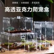 🔥限時下殺🔥活體成蟲甲蟲獨角仙飼養盒寵物箱亞克力蜘蛛守宮鍬形蟲造景爬寵桃園出貨