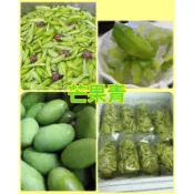 《明玉情人果芒果青》2026新鮮上市🥭正宗屏東三地門土芒果青情人果冰 大容量 屏科大檢驗合格