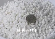 【唐先生拍賣網】特白鵝卵石-1.2分 ＊20kg裝《免運費》枯山水用砂麥飯石火山岩