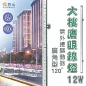 永光照明 舞光★舞光 LED鷹眼線燈 大樓投射燈/輪廓燈 戶外洗牆燈 12W/15W 驅動另計