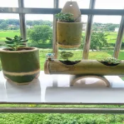 🔥熱賣🔥懸掛式花盆竹子個性創意竹筒多肉竹筒花盆壁掛盆栽新陽臺高筒花盆