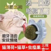 尾巴說 現貨 貓薄荷球 木天蓼 蟲癭果球 貓薄荷球 貓玩具 自嗨解悶 幼貓貓咪用品大全 貓草球 磨牙棒神器逗貓棒