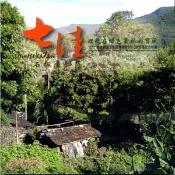 【三民網路書店】埋藏在綠色叢林中的寶藏： tjuvecekadan石板屋部落－2010順益台灣原住民博物館與部落結合特展 作者：社團法人屏東縣春日鄉老七佳石板屋聚落文化協會編著