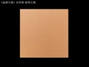 《磁磚本舖》少見皮革磚 愛瑪仕橘 60x60公分 花磚 玄關 客廳 營業空間 網美咖啡店面 超低價促銷中