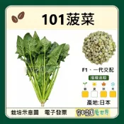 【台灣出貨 電子發票】101菠菜 種子 菜籽 耐熱菠菜 菠菜 空中花園藝世界