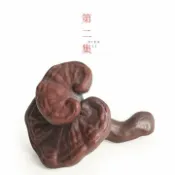 全球選品1館 生活百貨 第二集創意可養宜興紫砂靈芝茶寵擺件家用功夫茶具茶臺裝飾小茶玩