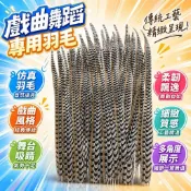 仿真京劇雉翎 舞蹈頭飾 花旦頭飾 羽毛頭飾 雉雞毛 英歌雞毛 地羽 舞蹈道具 羽毛裝飾 京劇頭飾 表演頭飾 戲曲頭飾