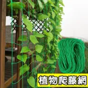 (店+)植物爬藤往 18股加厚 攀爬網 爬藤網 花園藤蔓支架 多尺寸可選
