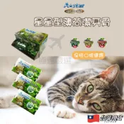 【🇹🇼超快嚴選】A star 貓薄荷潔牙骨 貓潔牙骨 貓薄荷餅 貓薄荷 貓潔牙 貓零食 貓用潔牙骨 貓草餅 貓草 貓餅