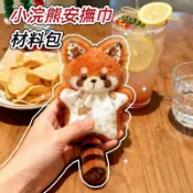 【台灣出貨】小浣熊安撫巾 DIY材料包 毛絨材料包 安撫玩偶 手作材料包 療癒小物 DIY手作 毛絨掛件 手作禮物