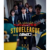 韓劇 金牌救援/棒球大聯盟 南宮珉非DVD