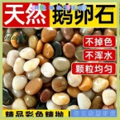 🌟台灣熱銷免運🌟⭐鵝卵石 小石頭 雨花石 裝飾小庭院魚缸原石水培景觀裝飾鵝卵石鋪陽臺