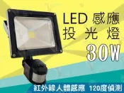 T5達人 LED感應投射燈 30W白光 投光燈 廣告燈 戶外照明燈 庭院燈 複金屬燈 20W30W50W100W