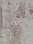 椎名林檎與彼奴等所在之真空地帶 (藍光BD)