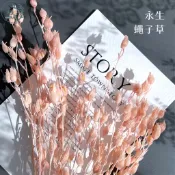 大好屋 台灣現貨 永生蠅子草 風鈴花 小風鈴 風鈴 麥仙翁 燈籠果 大地農園 乾燥花插花 花藝 DIY手做 手工花
