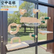 貓跳臺 免打孔置物架 貓跳臺 吸盤置物架 貓跳闆 壁掛式 貓爬架 貓抓柱 吸盤免打孔窗戶貓爬架 貓吊床 懸掛式墻壁貓跳臺
