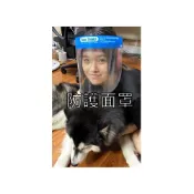 (店+)台灣製MIT 安心保障 防護面罩 防飛沫面罩 防油煙面罩 簡易防護面罩 雙面防霧 防飛沫 防髒汙 面罩