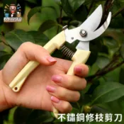 超多款🔥不鏽鋼修枝剪刀 採果剪 檳榔剪刀 果樹剪 花枝剪 修枝剪 粗枝剪刀 樹枝剪 花剪 園藝 大家好百貨》