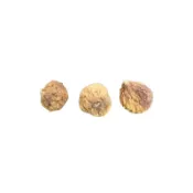 小動物用無花果乾 單個販售 小寵零食 小寵用無花果乾 倉鼠點心 鼠兔零食 鼠兔水果乾 倉鼠零食 小動物果乾 乾燥果乾