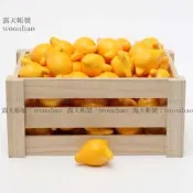 (MOLD-A_206)高仿真水果假水果蔬菜模型道具店鋪裝飾品五代同堂果仿真黃金果