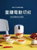 無限極台灣館 絞肉機家用電動小型碎肉機多功能手動攪拌器絞肉餡機打碎菜攪碎機