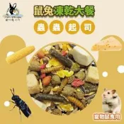 「鼠奴耗材」 寵物鼠蟲蟲起司凍乾大餐  金絲熊飼料 黃金鼠糧食 三線飼料 布丁鼠糧食 倉鼠飼料 寵物鼠飼料 老公公鼠飼料