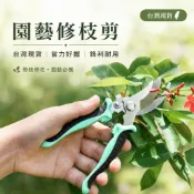 🔥台灣現貨+隔日達🔥加厚不鏽鋼修枝剪｜多功能園林工具｜檳榔剪刀樹枝剪｜農用果樹剪｜摘果採果花剪｜強力綠化專用剪