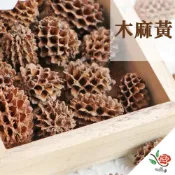 (店+)木麻黃 松果 極度花燥 花材 果實 永生花 乾燥花 不凋花 乾燥果實 果實包 畢業季 畢業 七夕 情人節