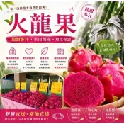 現貨 會甜的火龍果!  700免運 紅龍果 火龍果 在叢紅 有熟才採收