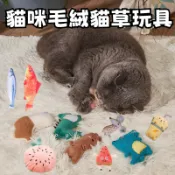 🔥當天出貨🔥 仿真貓薄荷魚玩具 貓咪抱枕玩具 貓咪玩具 貓薄荷 逗貓棒 貓玩具 貓草包 貓草抱枕 貓草枕 貓草玩具 抱枕