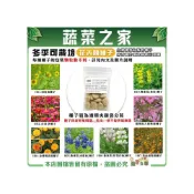 (店+)【蔬菜之家】冬季可栽培花卉種子系列各包裝數量詳見內文及圖片魯冰花 波斯菊 蜀葵 金盞花 醉蝶花 鼠尾草..等