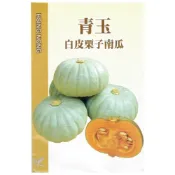(店+)【天橙種子】青玉白皮栗子南瓜種子 約5粒 10~2月播種 瓜果類種子 興農種苗 家庭園藝 彩色原包裝