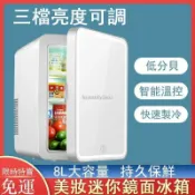鶴町商社 免運車家兩用美妝鏡面冰箱110V迷你冰箱8L冷藏小冰箱三檔亮度調節低分貝單門小冰箱飲料冰箱g6302