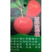 李家果苗 西印度櫻桃 7吋盆 觀賞用途 果實很酸哦 高度20-30公分 特價220元