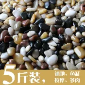 協貿國際日用品生活6館 天然鵝卵石南京雨花石原石五彩色多肉花盆魚缸裝飾石頭小石子庭院